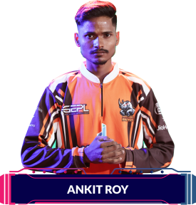 Ankit Roy